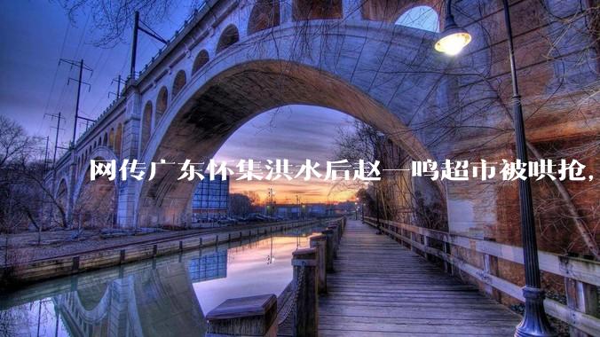 网传广东怀集洪水后赵一鸣超市被哄抢，县***回应相关单位正在核实，若属实哄抢者该承担哪些法律责任？