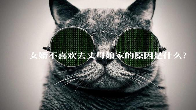 女婿不喜欢去丈母娘家的原因是什么？